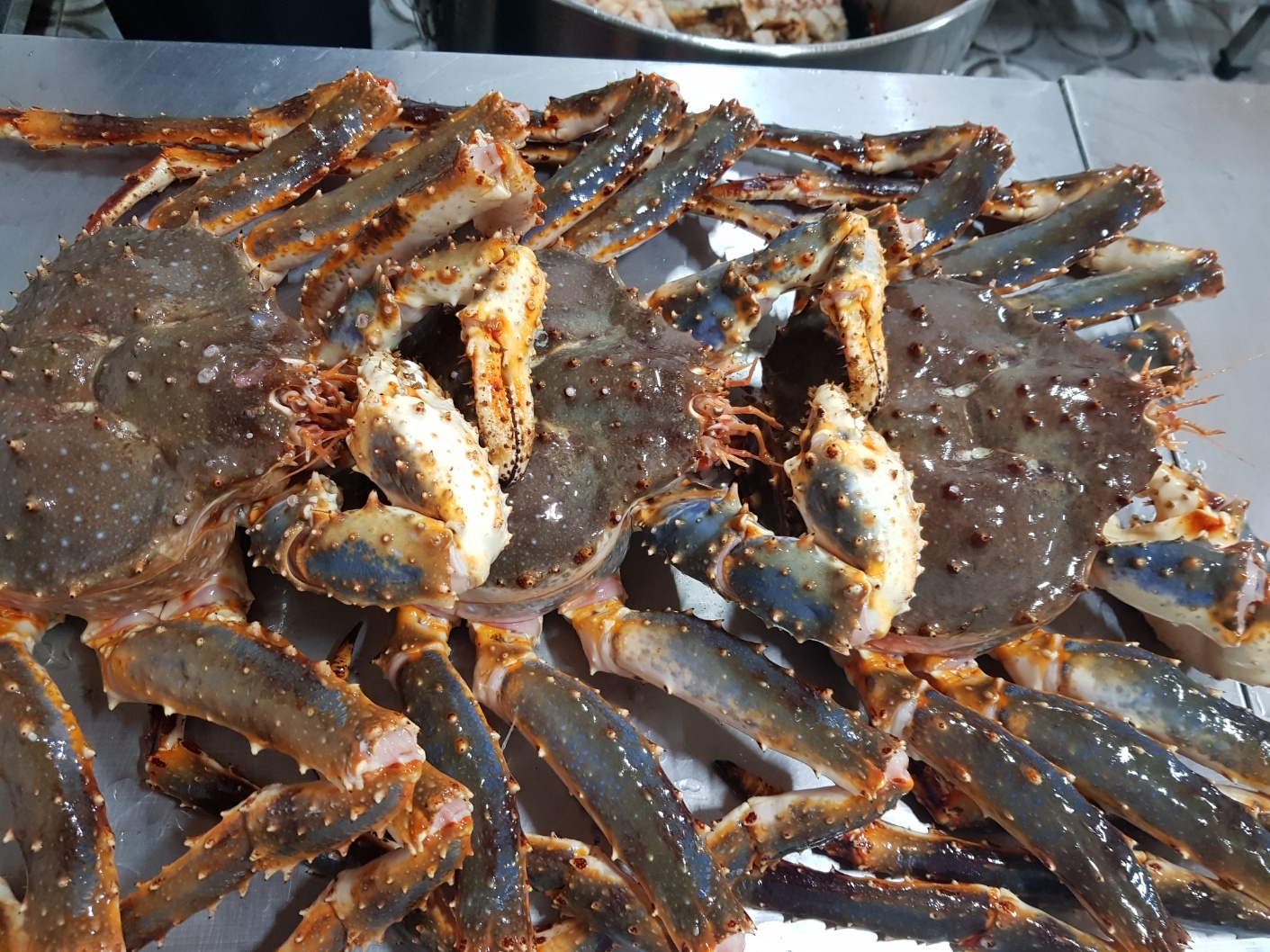 러시아 블루 자숙킹크랩 (자숙 전 중량