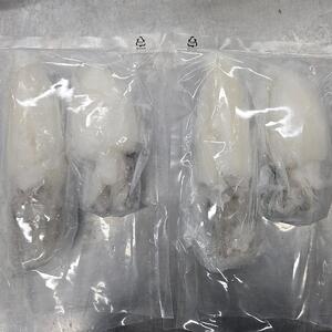 손질 통갑오징어