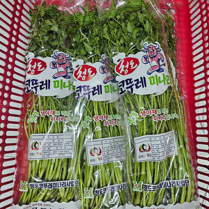 청도 한재 미나리