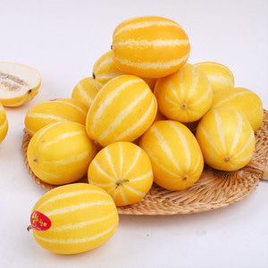 가정용 참외 4.5kg / 소과 23-32과