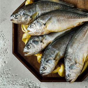 영광굴비 1.2kg(20미)*2세트